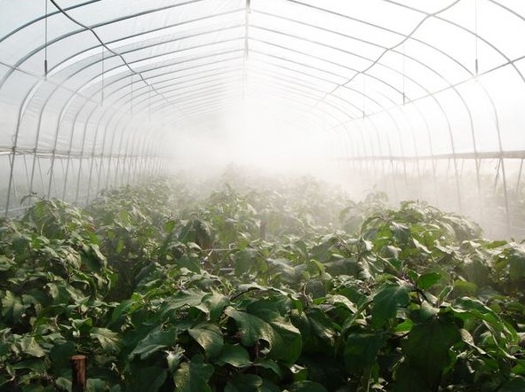 “三科變頻器”